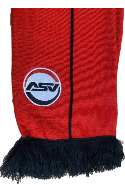 VIP-Schal bestickt, 1x Logostick