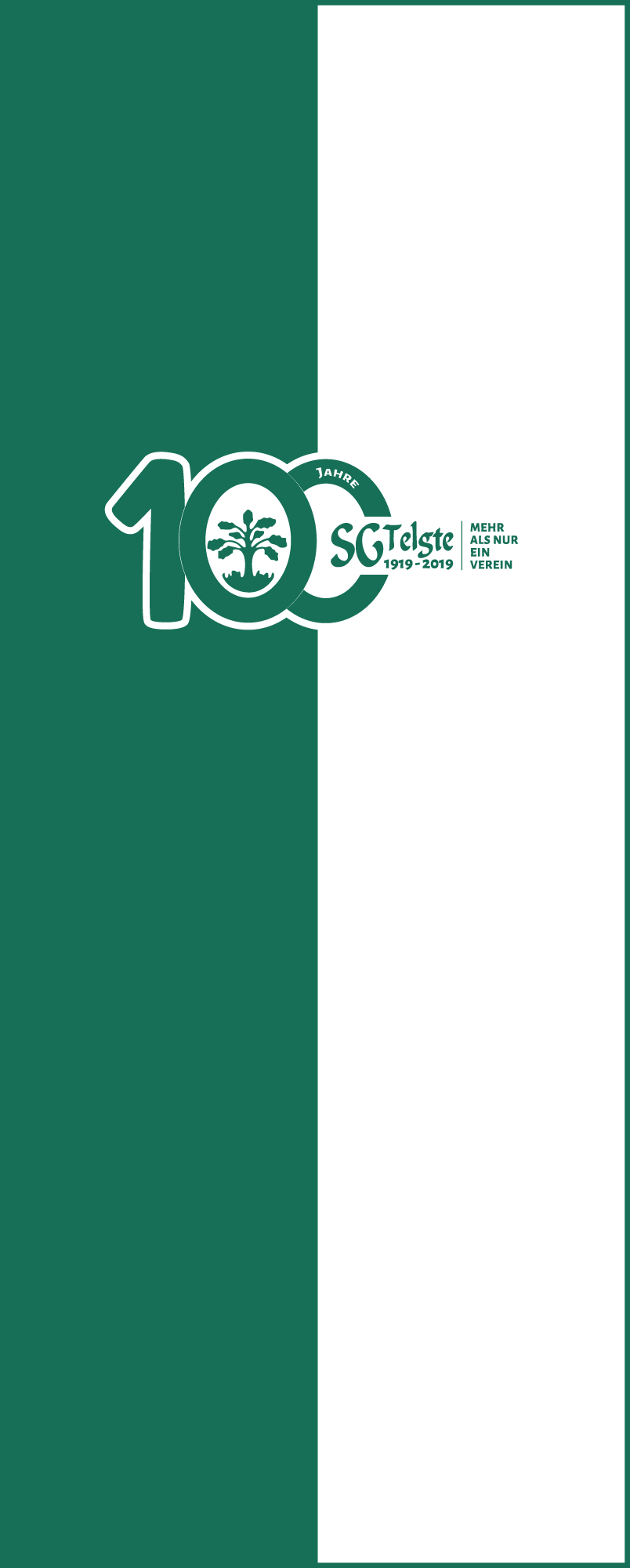 Mastfahne Jubiläum 300x120 cm