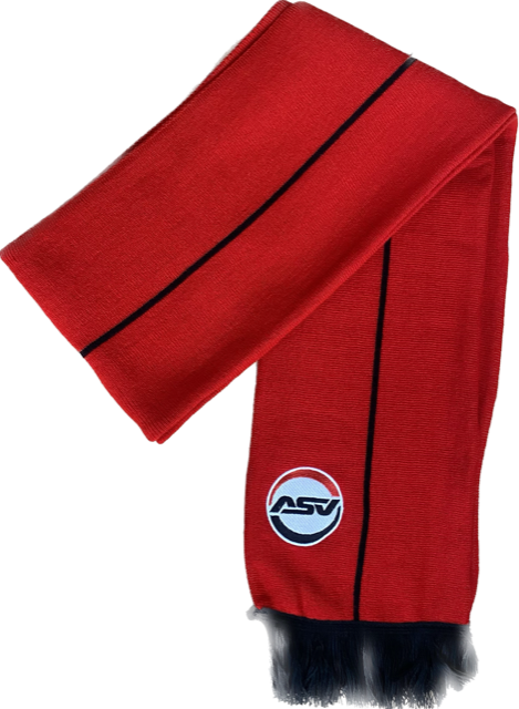 VIP-Schal bestickt, 1x Logostick